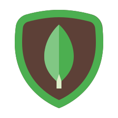 מסד נתונים מבוסס מסמכים (NoSQL)